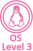 OS LEVEL 3