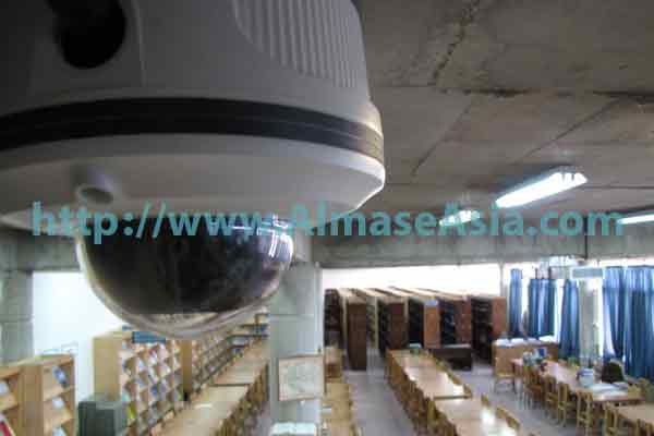 p195lsvene1ss71pe617pv2h410j39