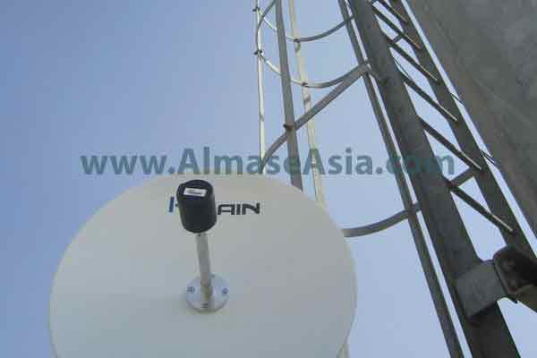 p196a11vj2umkg8kg2e61uegk