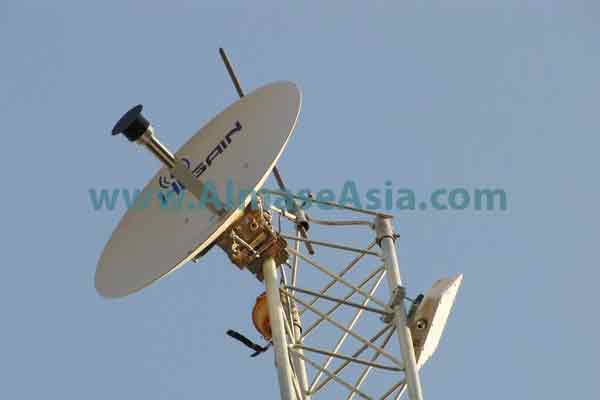 p196a12ql81vpq13bqive1ohg1s5vo
