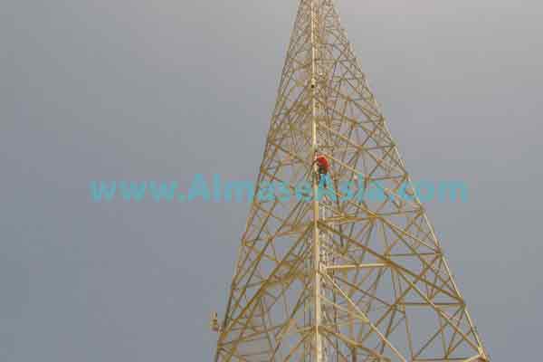 p196c9h3sjn7sug8nub1faj1i99n